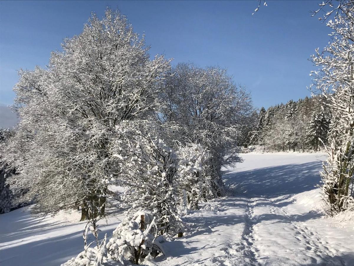 Villa Holgenbach - Penthouse- Und Ferienwohnung Im Nationalpark Eifel ชไลเดิน ภายนอก รูปภาพ