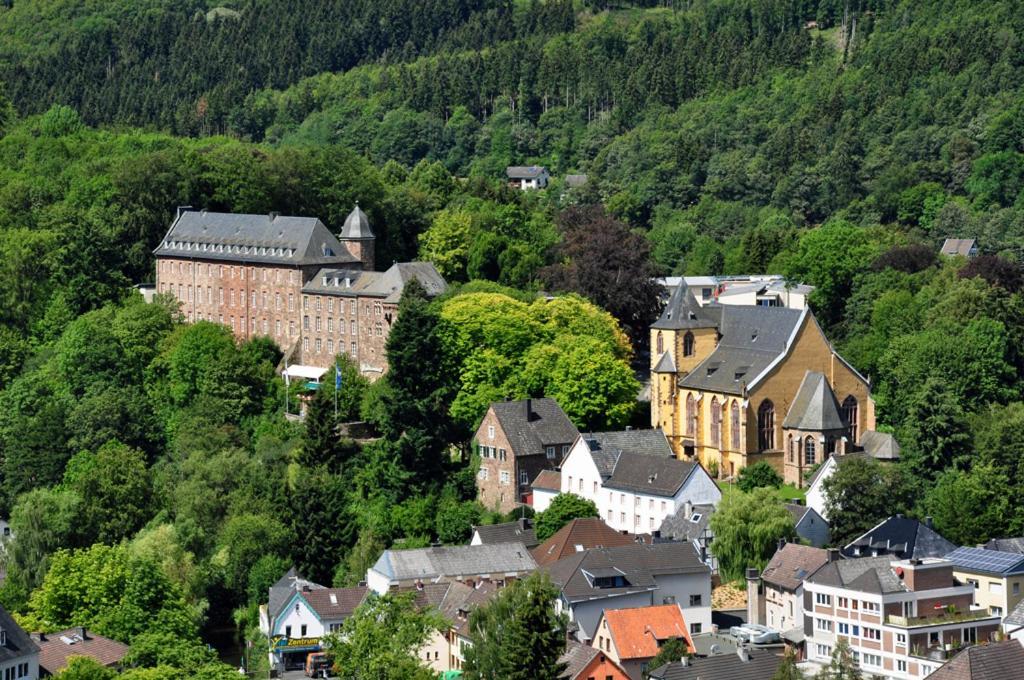 Villa Holgenbach - Penthouse- Und Ferienwohnung Im Nationalpark Eifel ชไลเดิน ภายนอก รูปภาพ