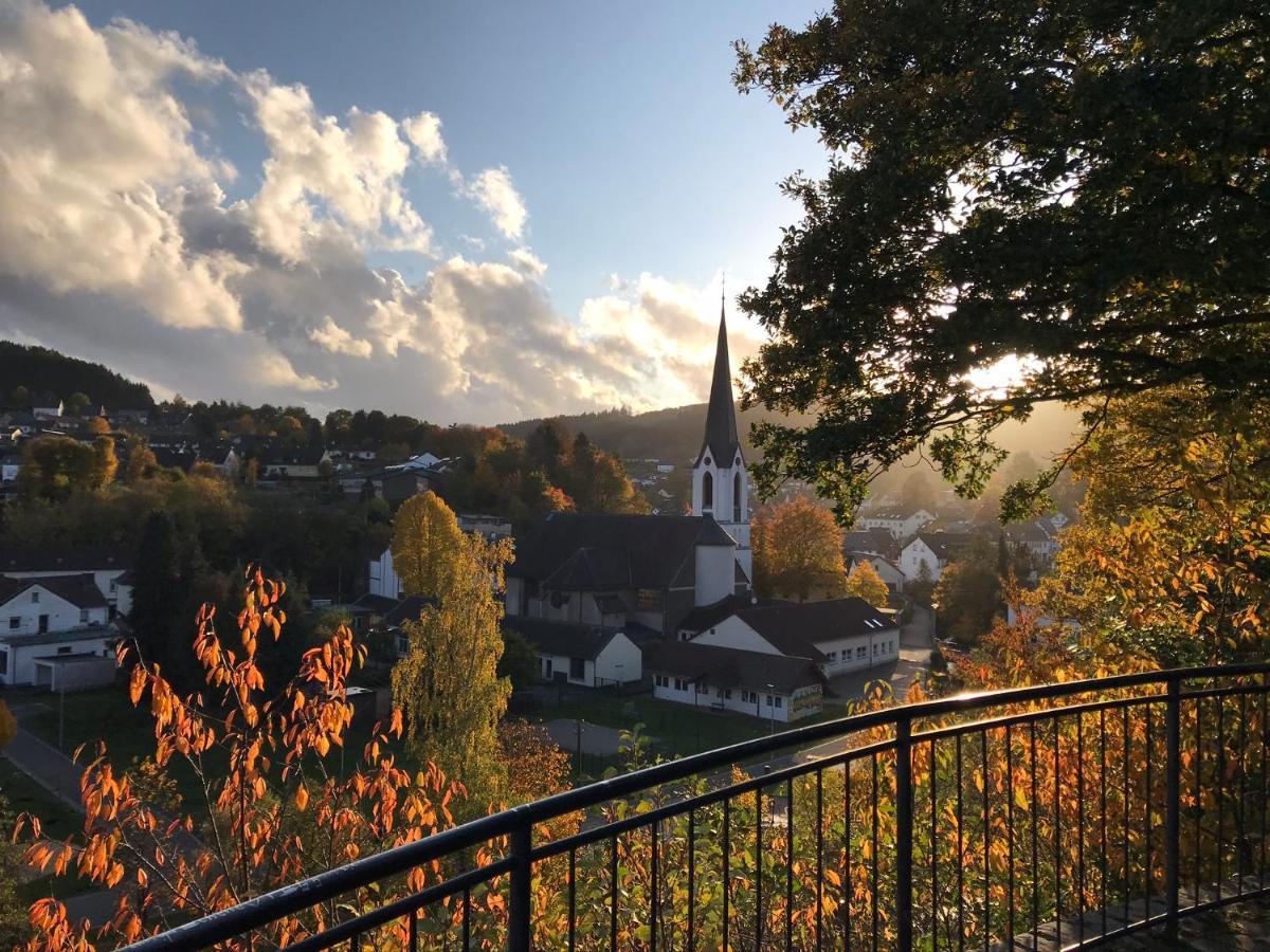 Villa Holgenbach - Penthouse- Und Ferienwohnung Im Nationalpark Eifel ชไลเดิน ภายนอก รูปภาพ