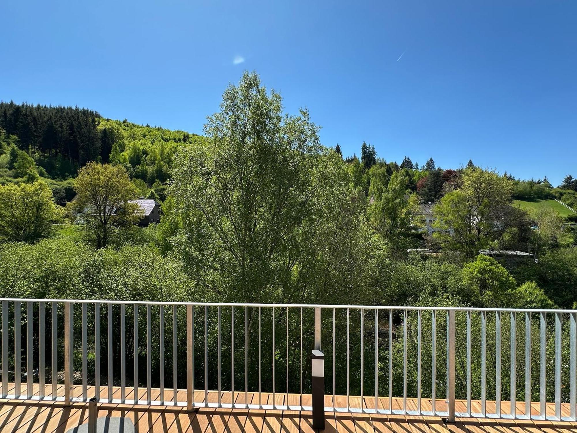 Villa Holgenbach - Penthouse- Und Ferienwohnung Im Nationalpark Eifel ชไลเดิน ภายนอก รูปภาพ